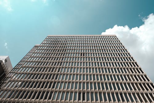 Low Angle Shot of a Building with Windows