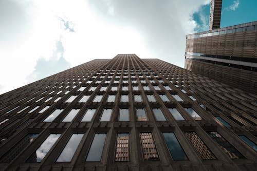 Low Angle Shot of a Building Full of Windows