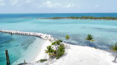 Green Palm Tree Near Blue Sea Under Blue Sky