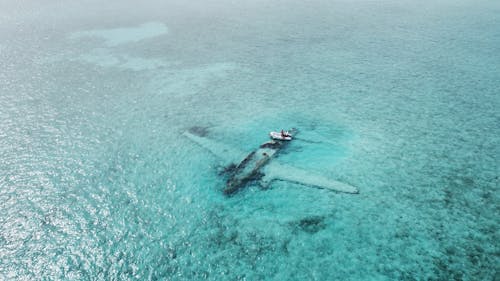Divers Visiting the Wreck of the Pablo Escobar Sunken Plane Near the Normans Cay Bahamas