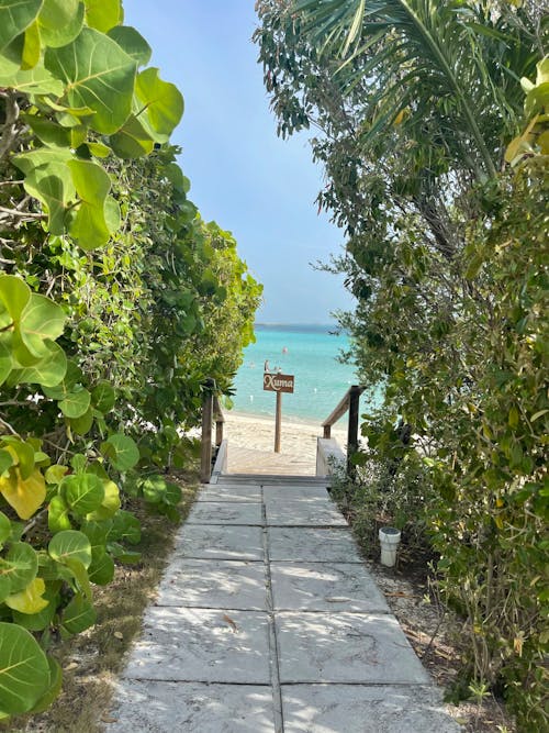 Foto d'estoc gratuïta de bahames, exumas, illa exuma