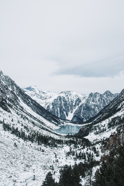 bezplatná Základová fotografie zdarma na téma horský les, hory, led Základová fotografie