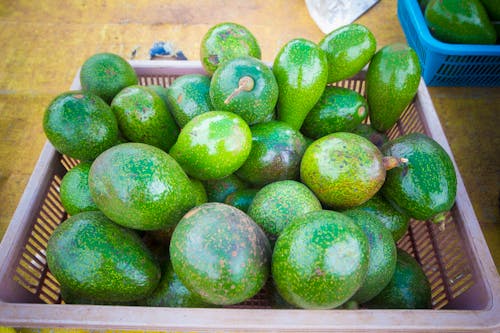 무료 녹색 아보카도 과일이 가득한 직사각형 보라색 플라스틱 바구니 스톡 사진
