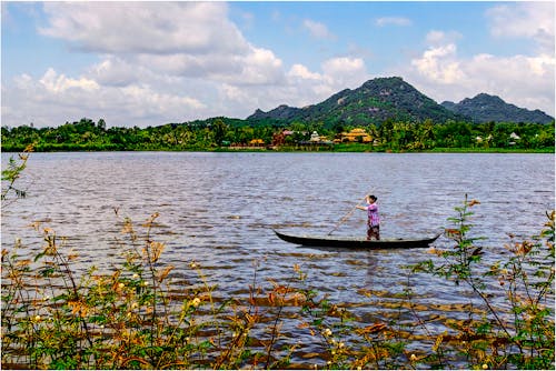 Immagine gratuita di bầu trời, cây, dòng canzone