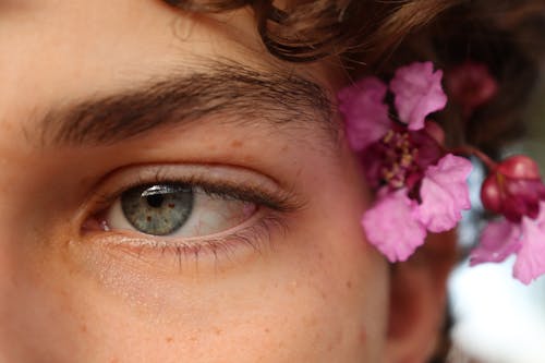 Foto profissional grátis de atraente, cobertura, flores cor-de-rosa