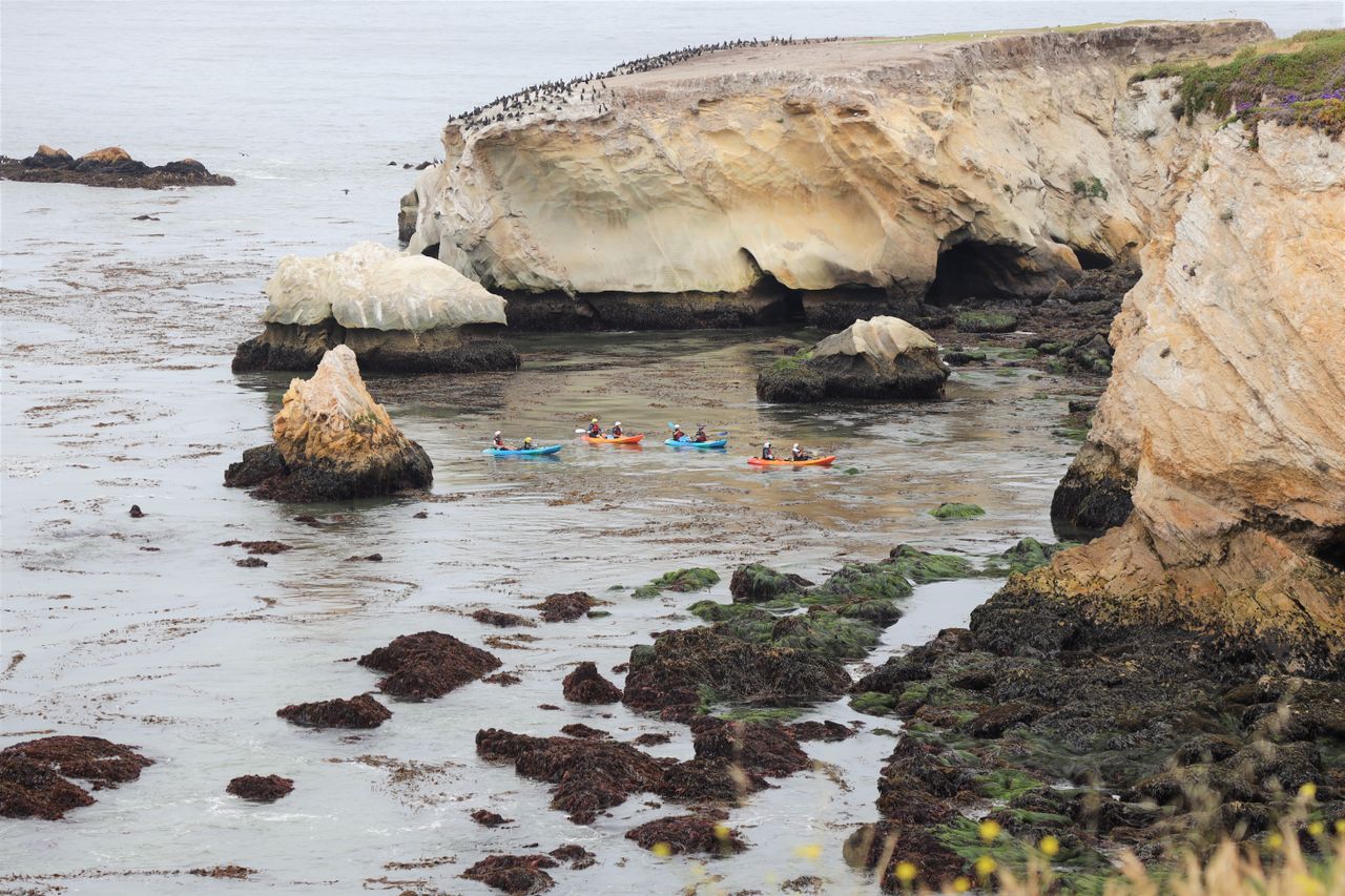 kayakers exploring the scenic cliffs and rock formations at pismo beac