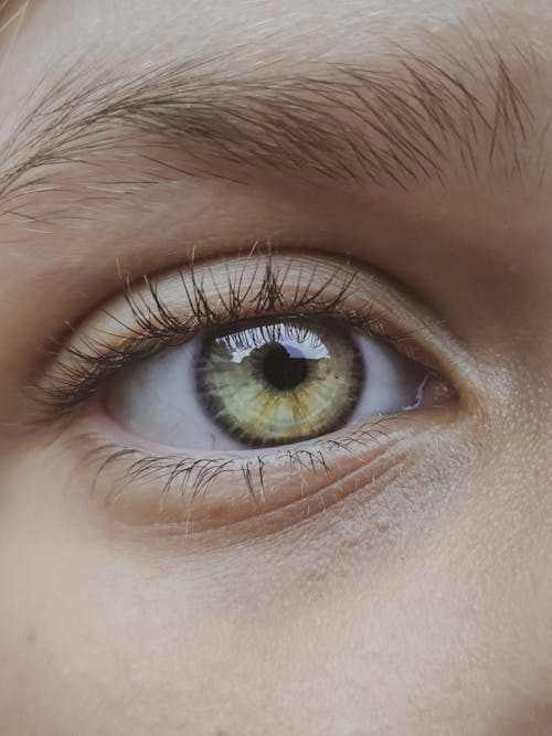 Close-Up Shot of an Eye