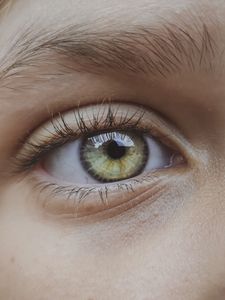 Oog macro close-up