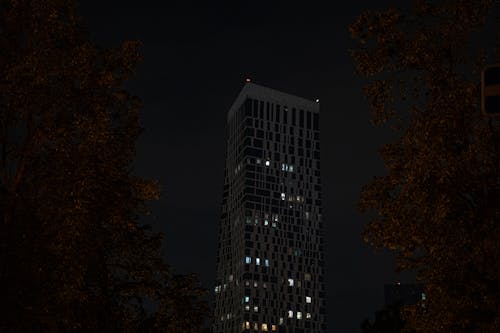 Základová fotografie zdarma na téma budova, město, noc