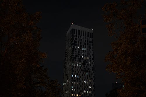 Free stock photo of building, city, night