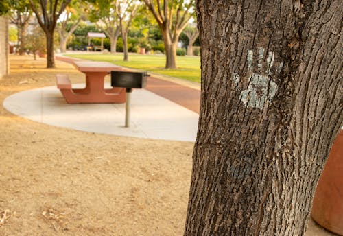 Free stock photo of city park, fingerprint, hand print