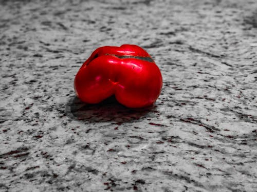 빨간 토마토의 무료 스톡 사진
