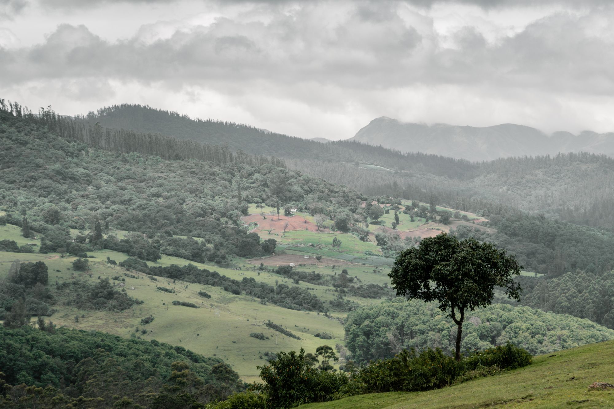 South India Tour Packages Gallery 2