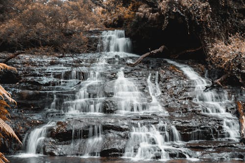 Безкоштовне стокове фото на тему «вода, водоспади, дерева»