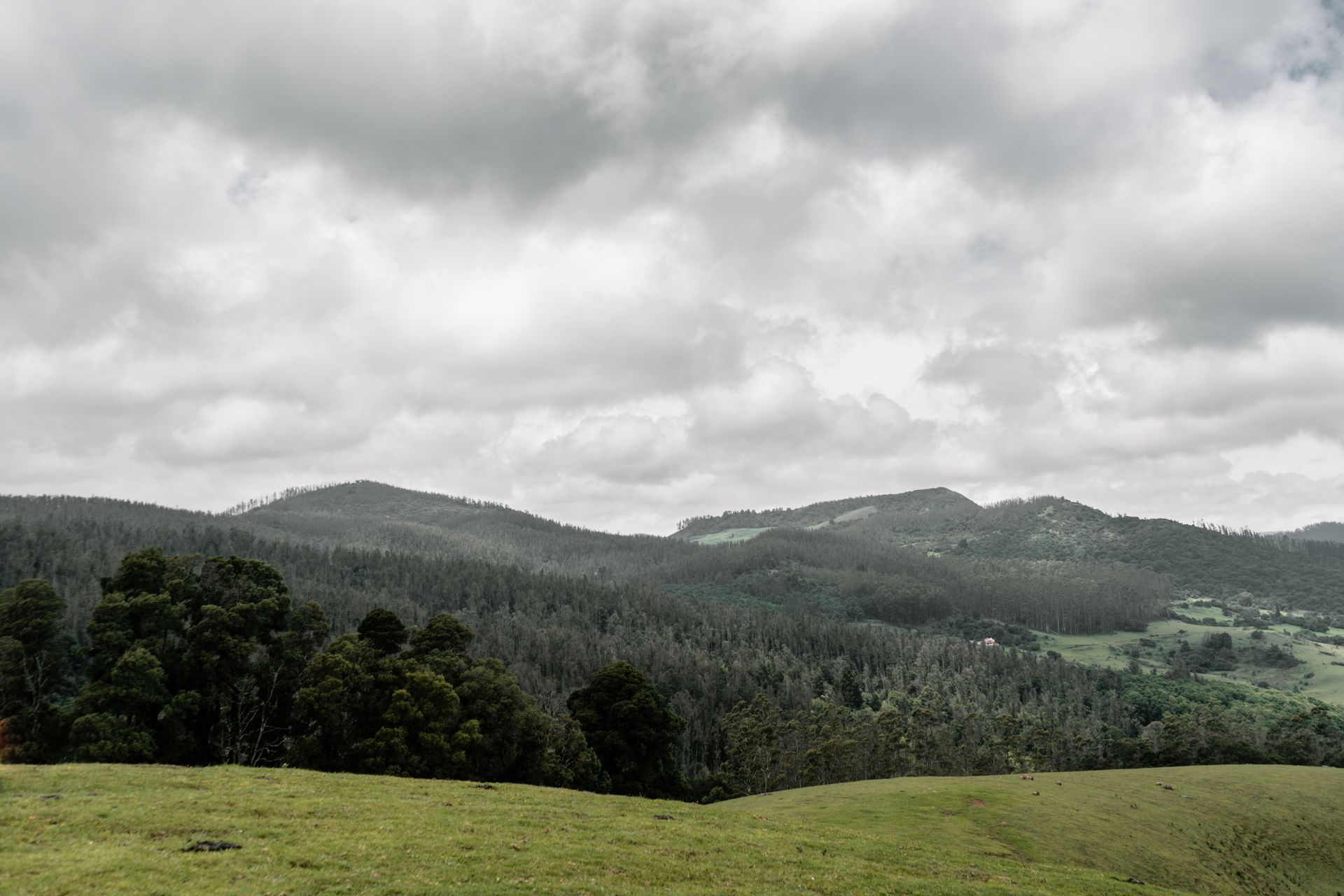 Captivating view of lush hills and cloudy sky in Ooty, Tamil Nadu.