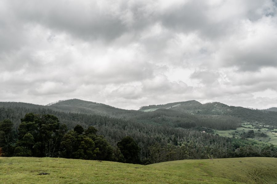 Ooty (Udhagamandalam) photo 6