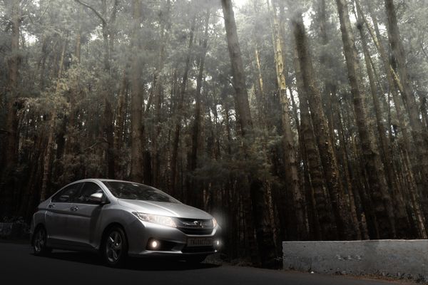 Transfer / Travel in Kodaikanal