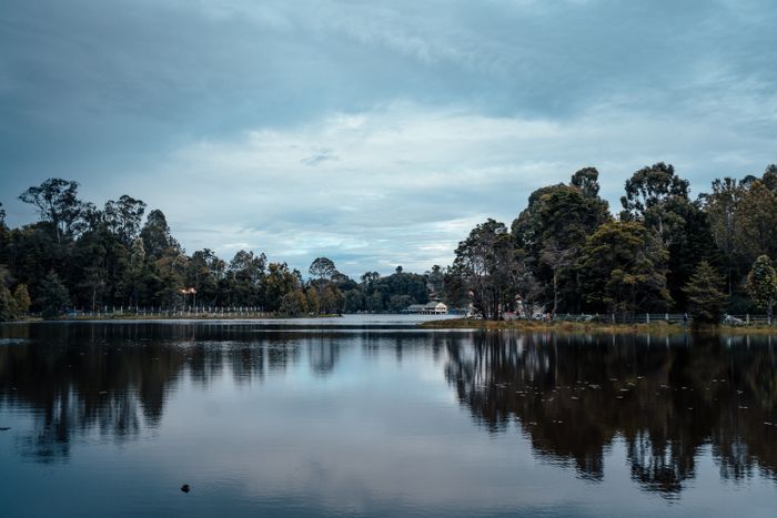 Kodaikanal Lake — calm scenic landscape with lush green trees