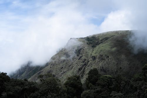 Immagine gratuita di alberi, cielo azzurro, esterno