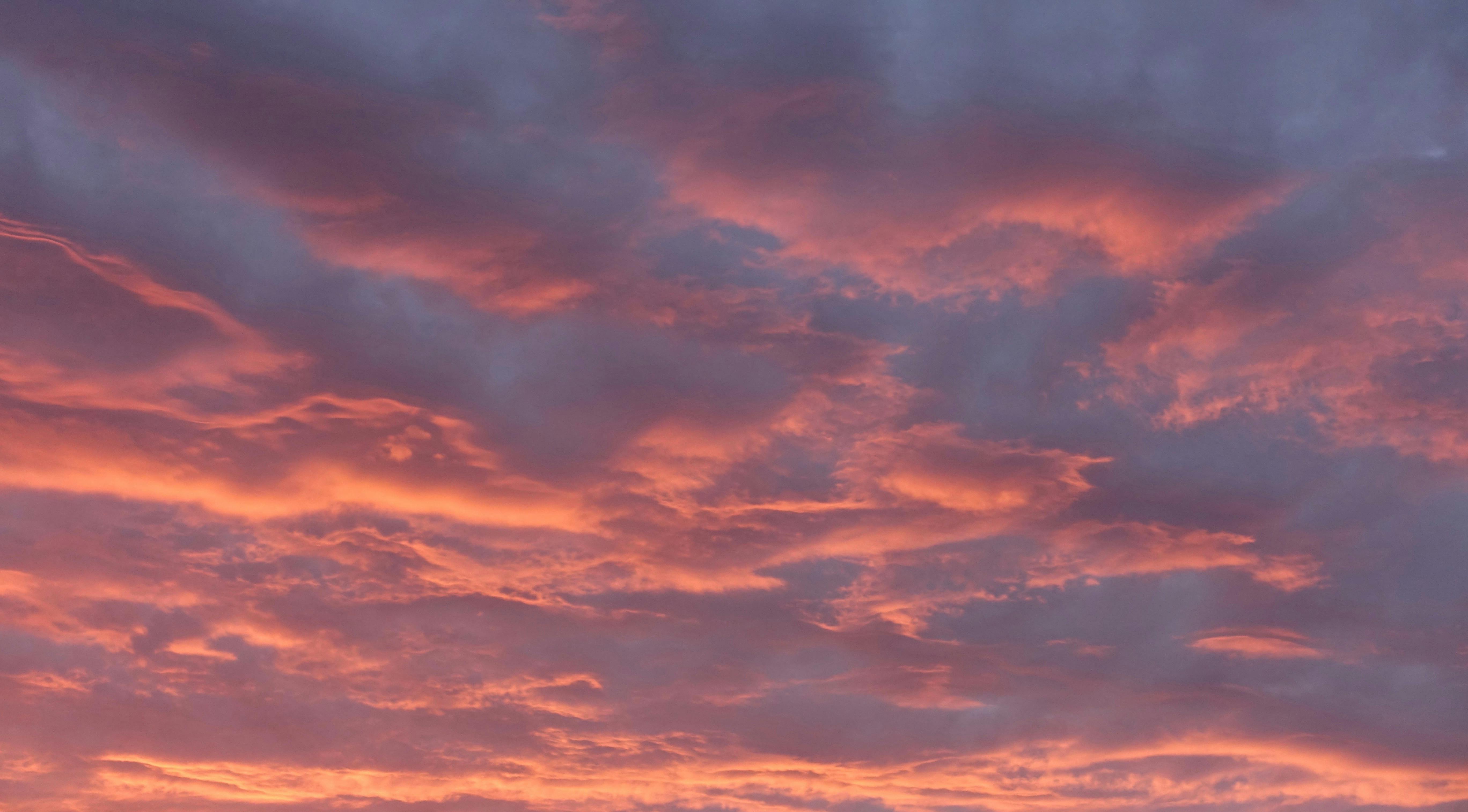 Free stock photo of pink sky