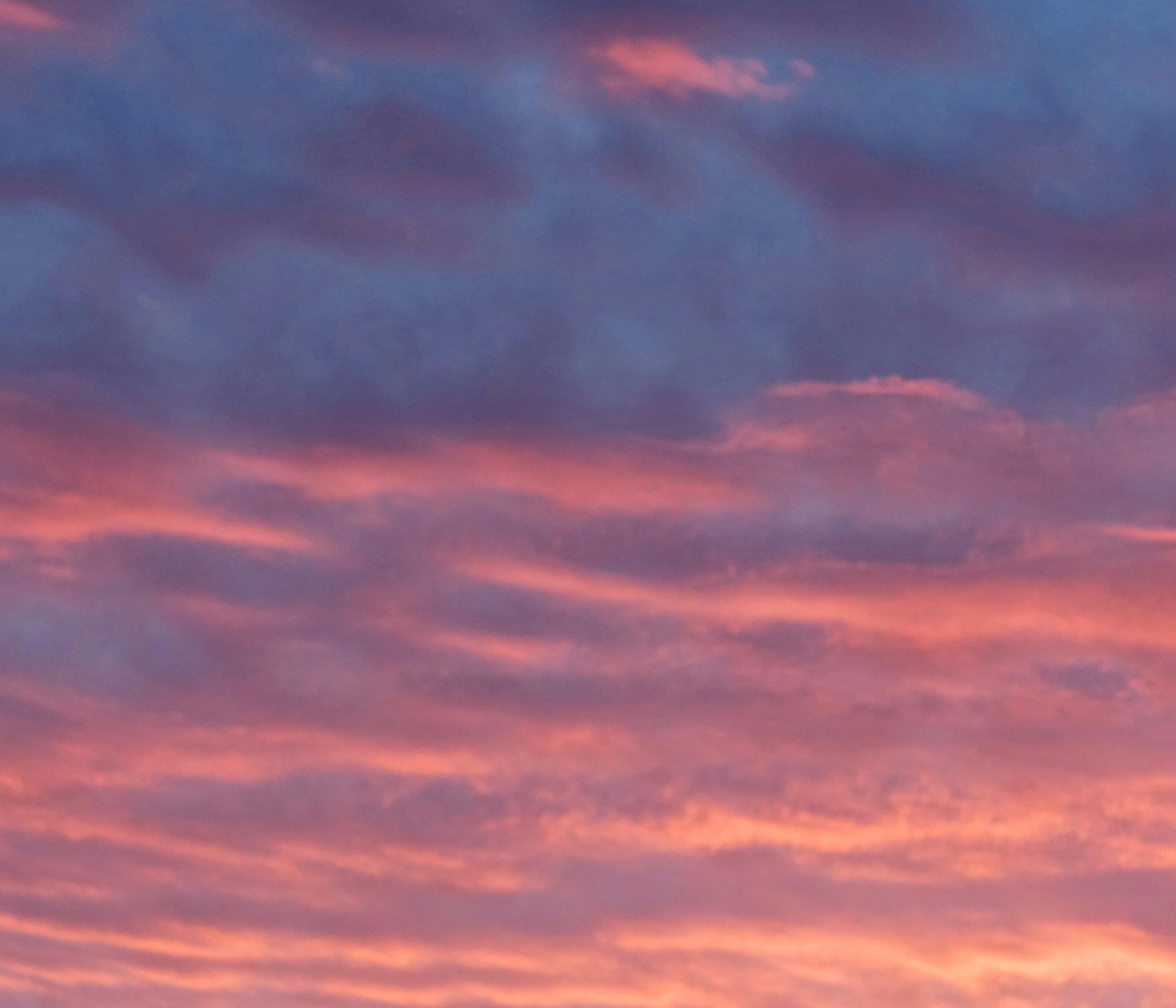 Free stock photo of pink sky