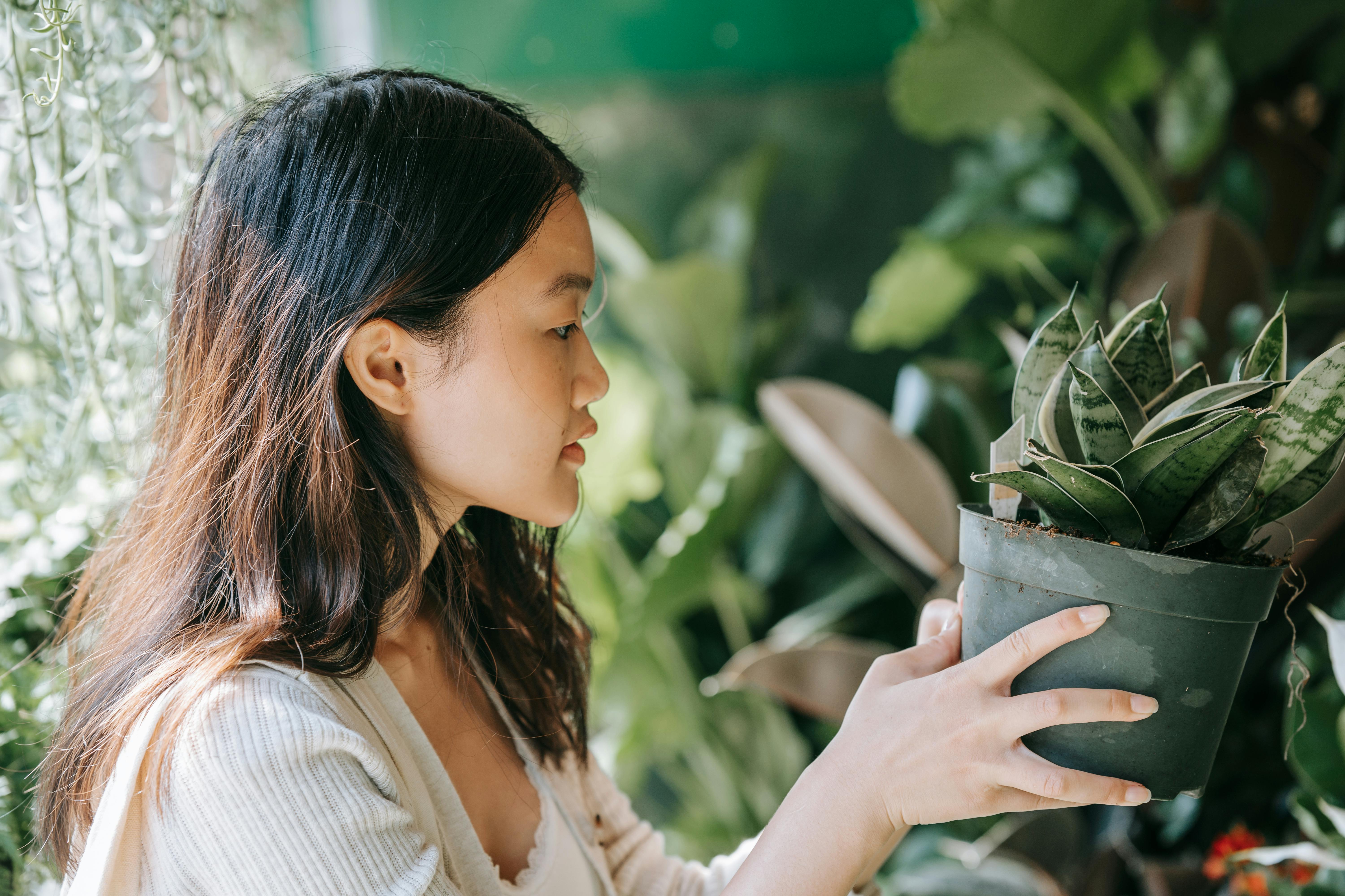 woman in white long sleeve shirt holding green plant