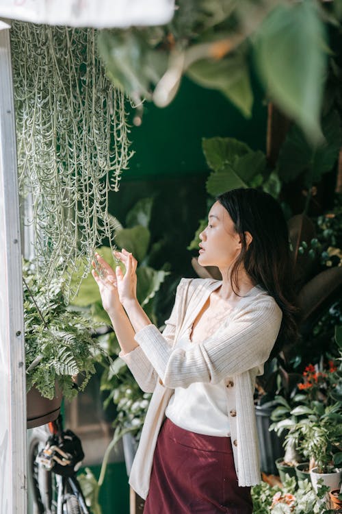 Gratis arkivbilde med armer hevet, blader, blomster