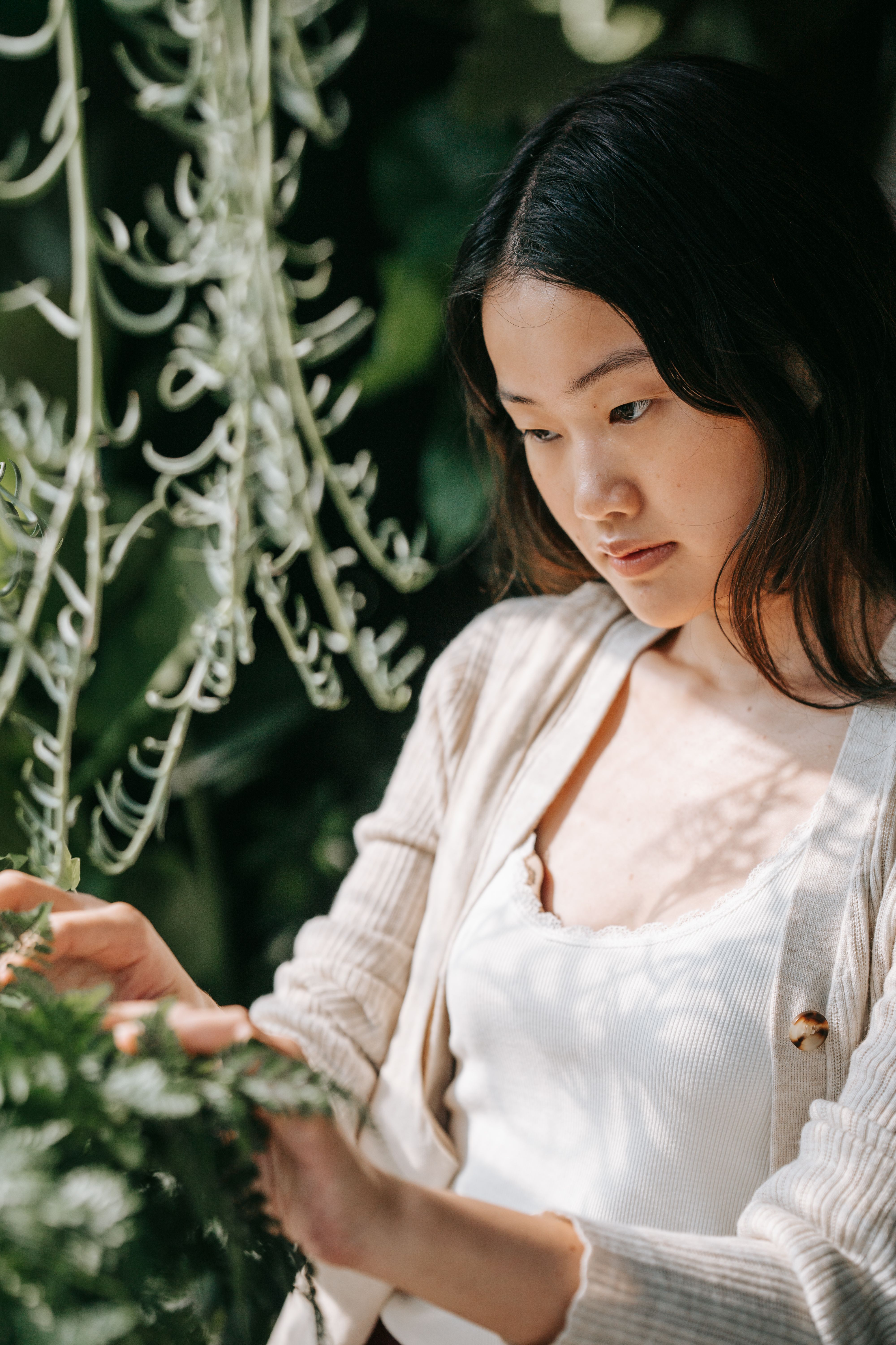 Woman in White Long Sleeve Shirt Holding Green Plant · Free Stock Photo