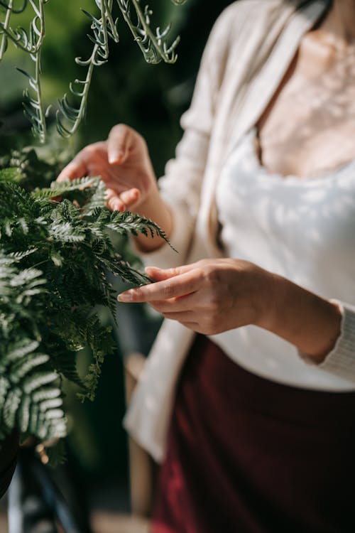 Woman in White Long Sleeve Shirt Holding Green Plant