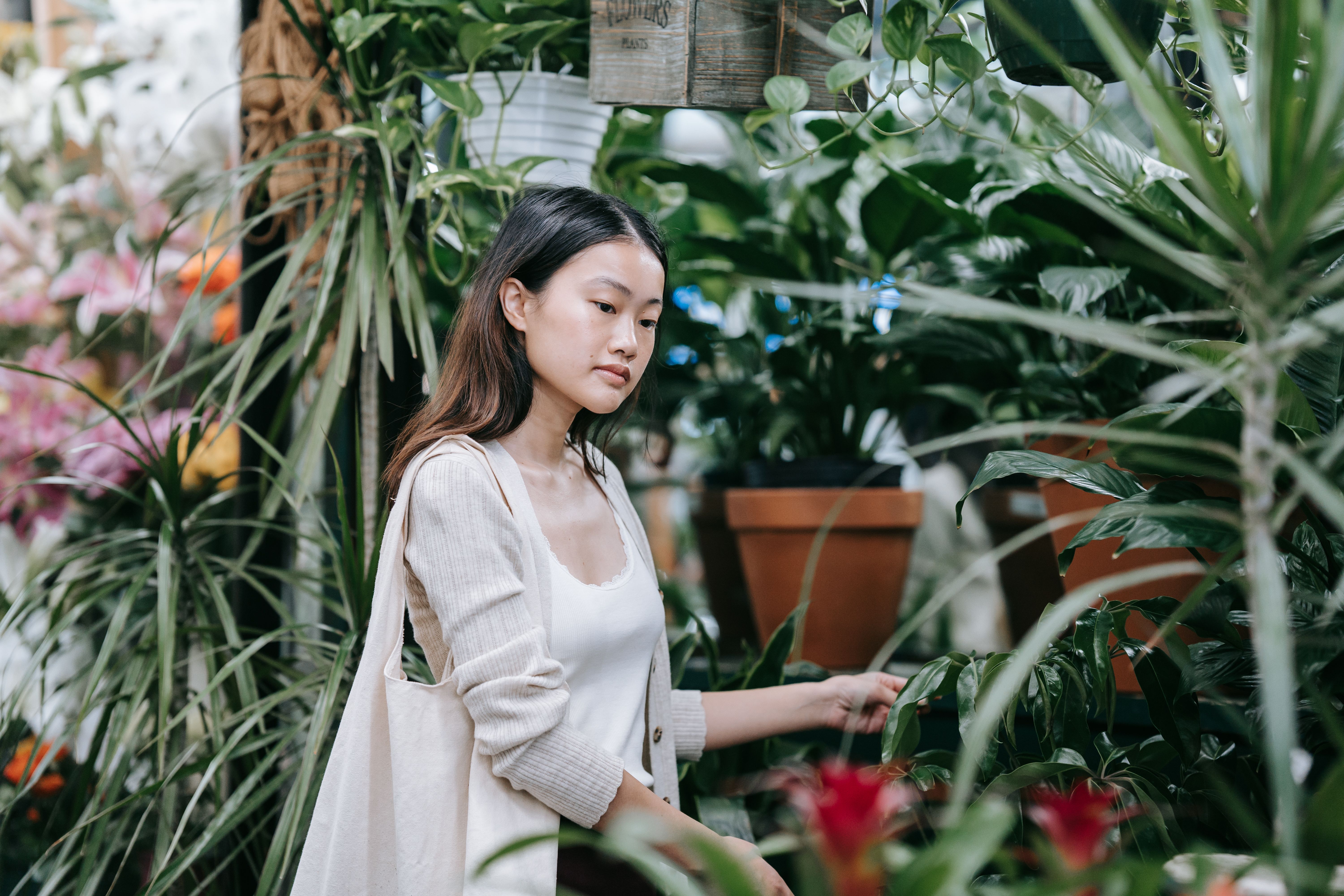 woman standing beside green plants