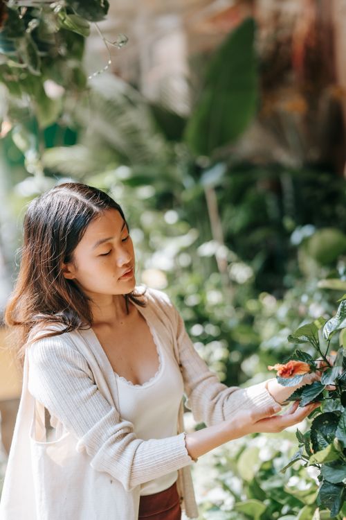 Free Young Asian woman admiring plants in a serene indoor greenhouse setting. Stock Photo