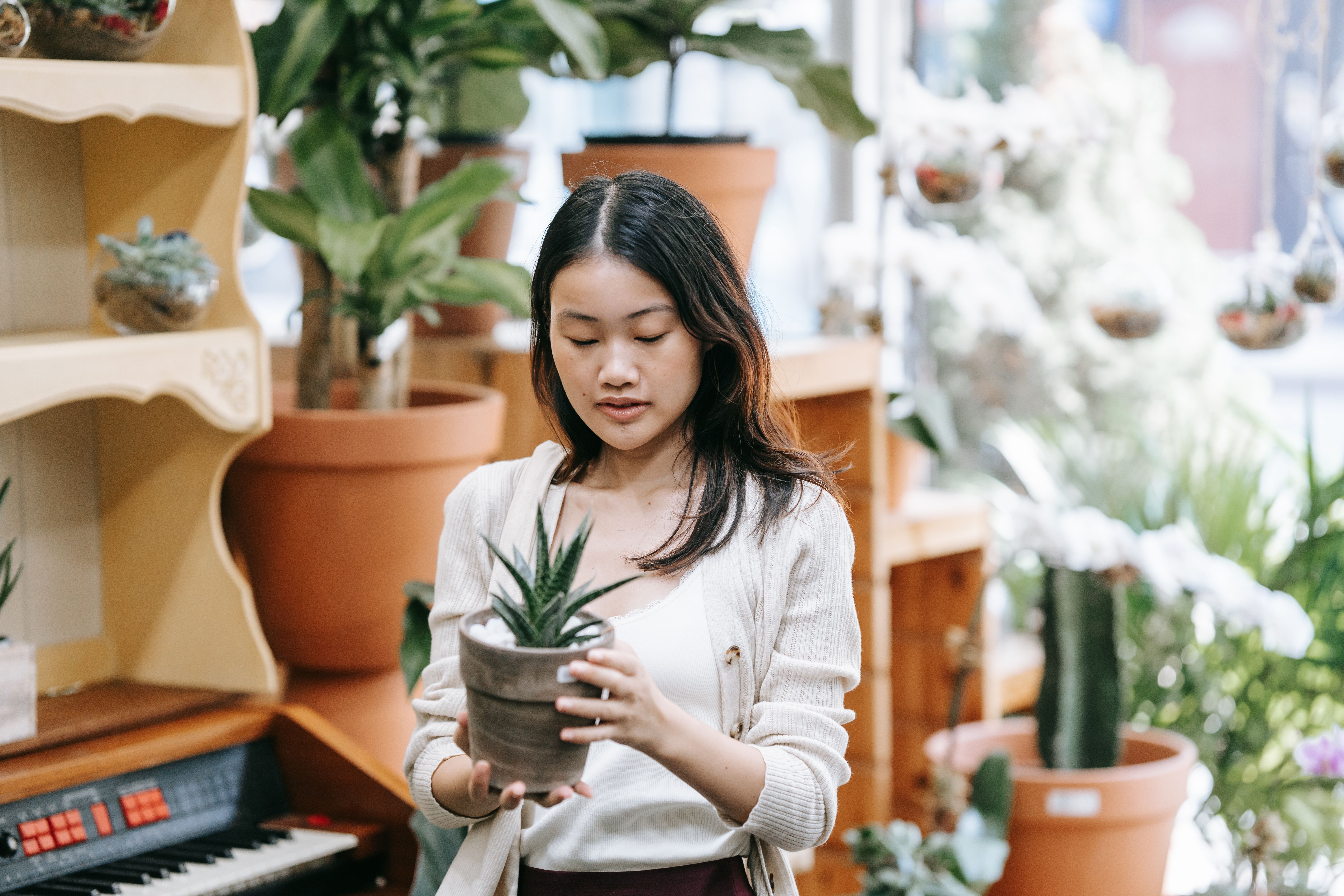 Woman in White Long Sleeve Shirt Holding Green Plant · Free Stock Photo