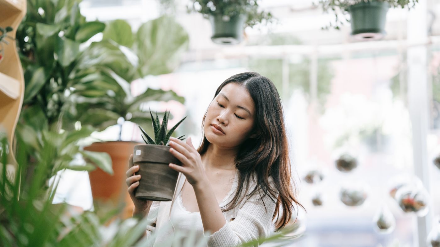 Stop Buying Plants on Impulse: Pick for the Garden You Have