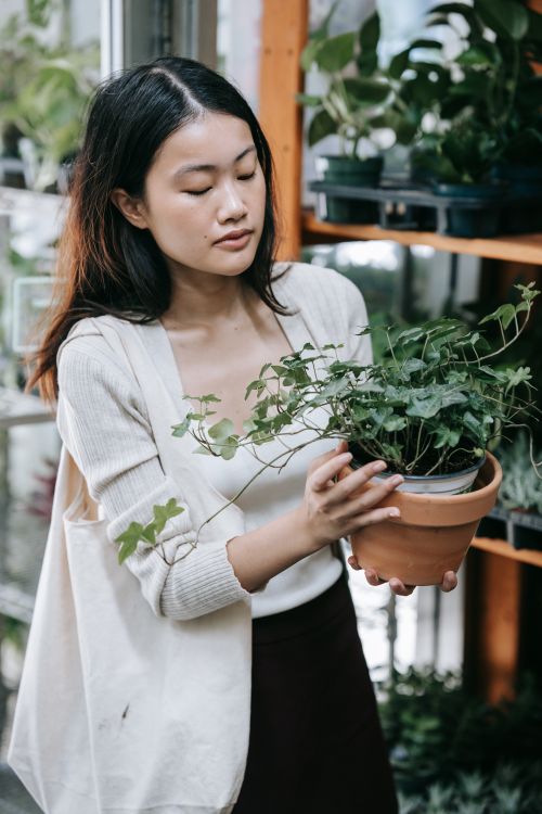 Free A young woman gently holds a potted plant in a botanical shop, showcasing plant care and indoor gardening. Stock Photo