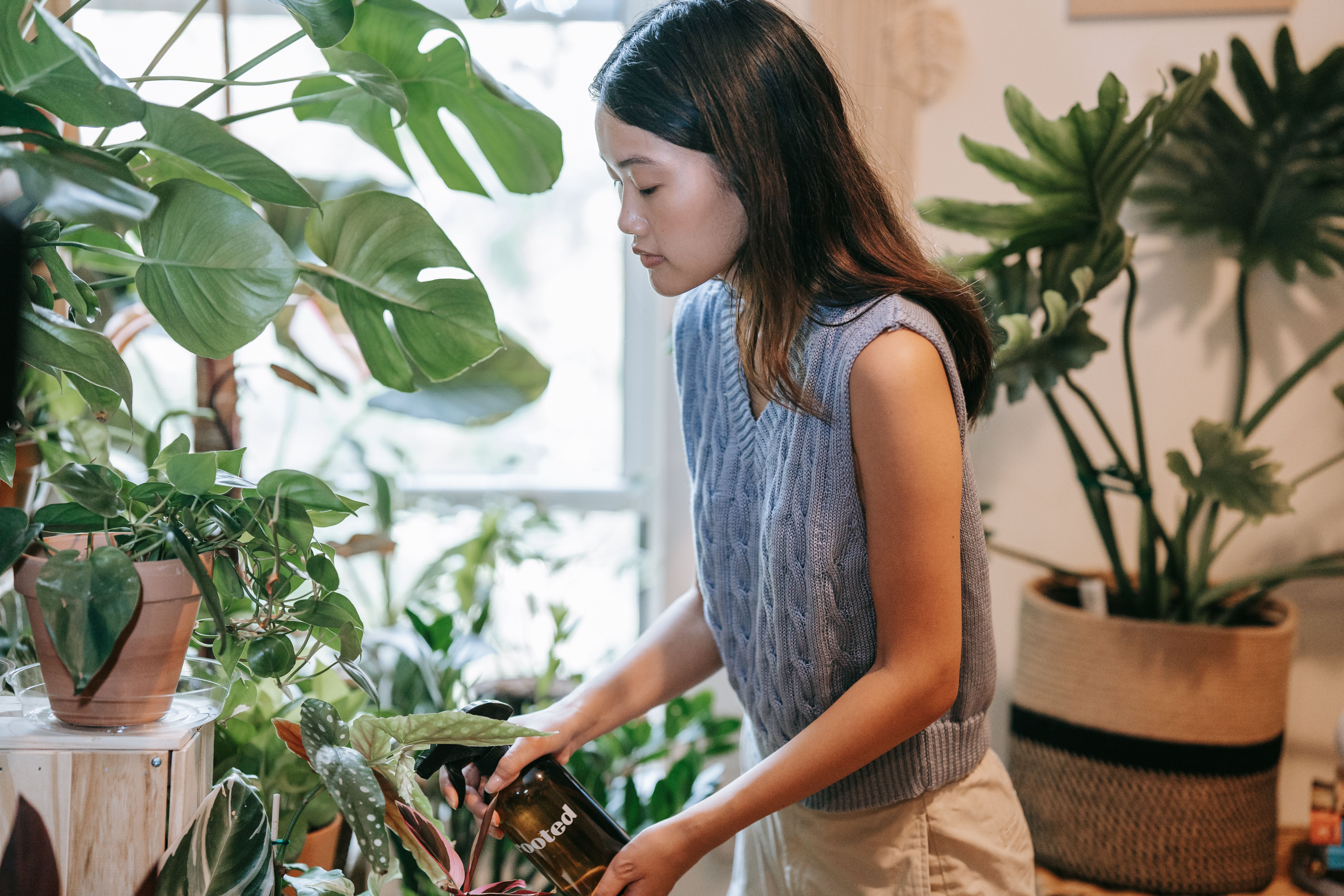 Arrosage plantes d'intérieur : le guide complet pour ne plus jamais les noyer (ou les assoiffer)