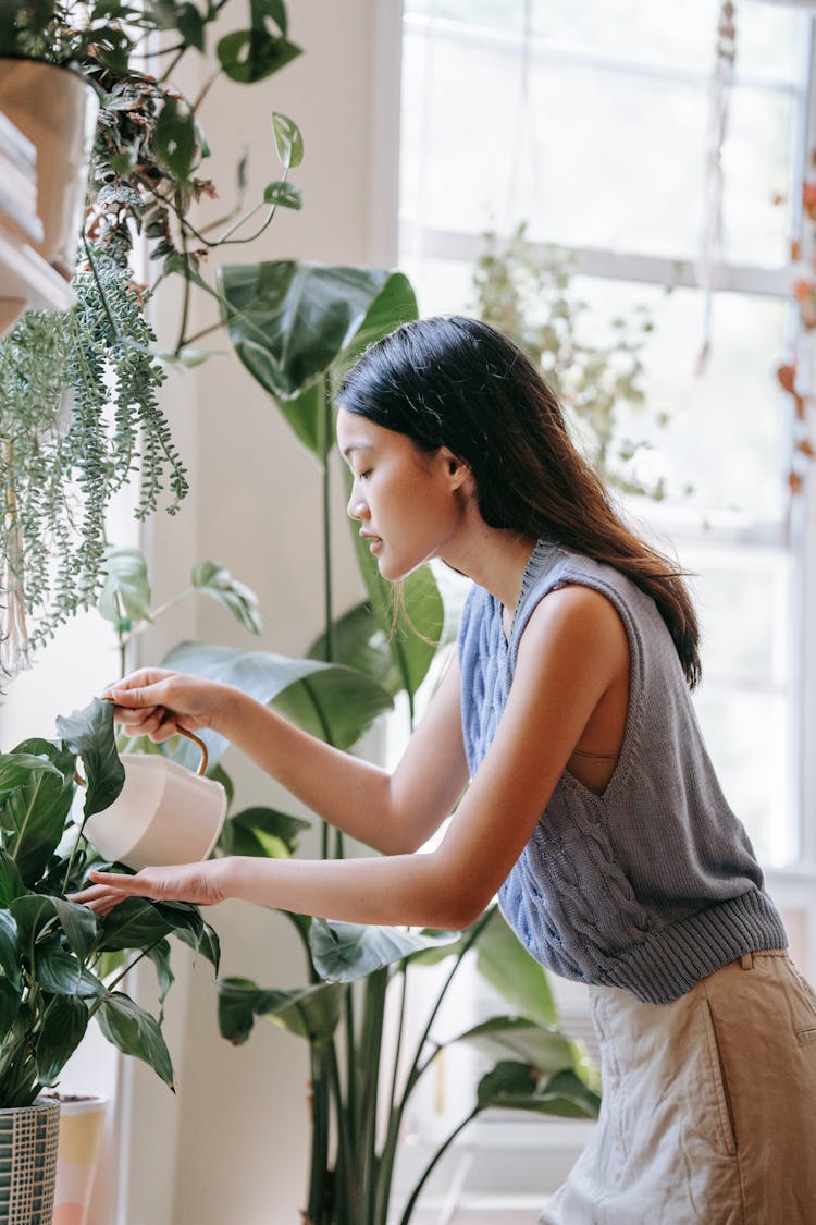 Woman In Gray Tank Top Holding Green Plant