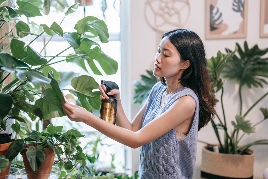 Una persona rociando plantas verdes