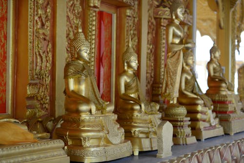 Free stock photo of golden buddha