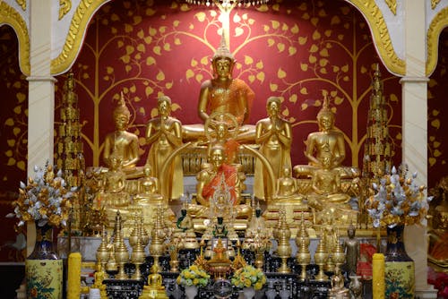 Free stock photo of buddha, gold