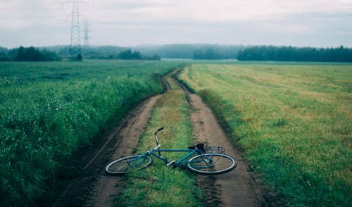 Пейзажная фотография синего пригородного велосипеда на зеленой траве