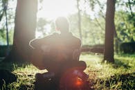 阳光明媚的森林中，吉他手弹奏原声吉他的剪影