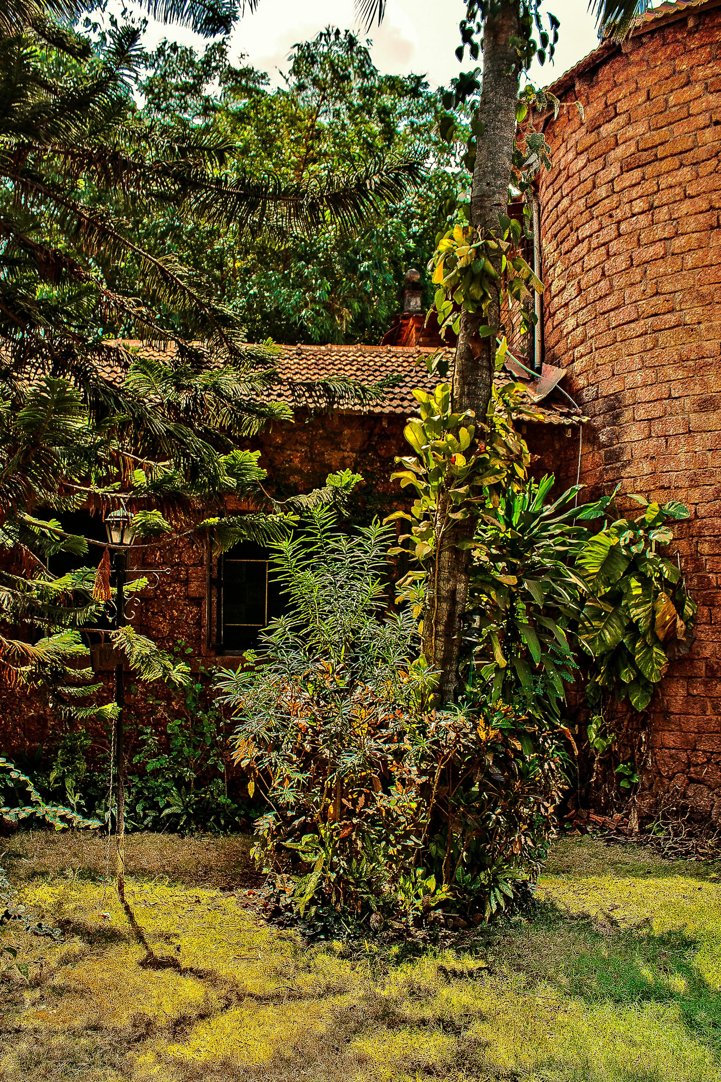 Free stock photo  of garden  House  in Goa