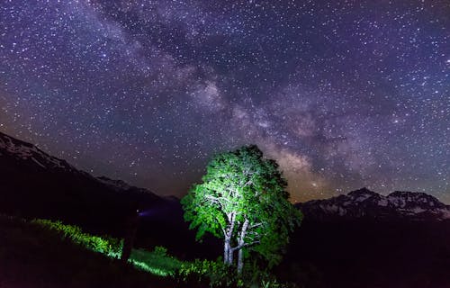 明星, 流星 的 免費圖庫相片