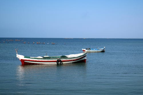 Immagine gratuita di barca, canoa, mare