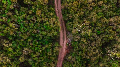Free Discover the beauty of nature with this aerial view of a forest path cutting through dense greenery. Stock Photo