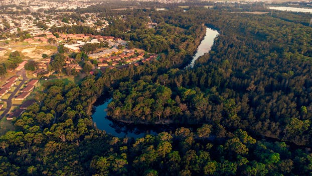 Breathtaking aerial view capturing a vibrant forest surrounding a meandering river near a rural settlement.