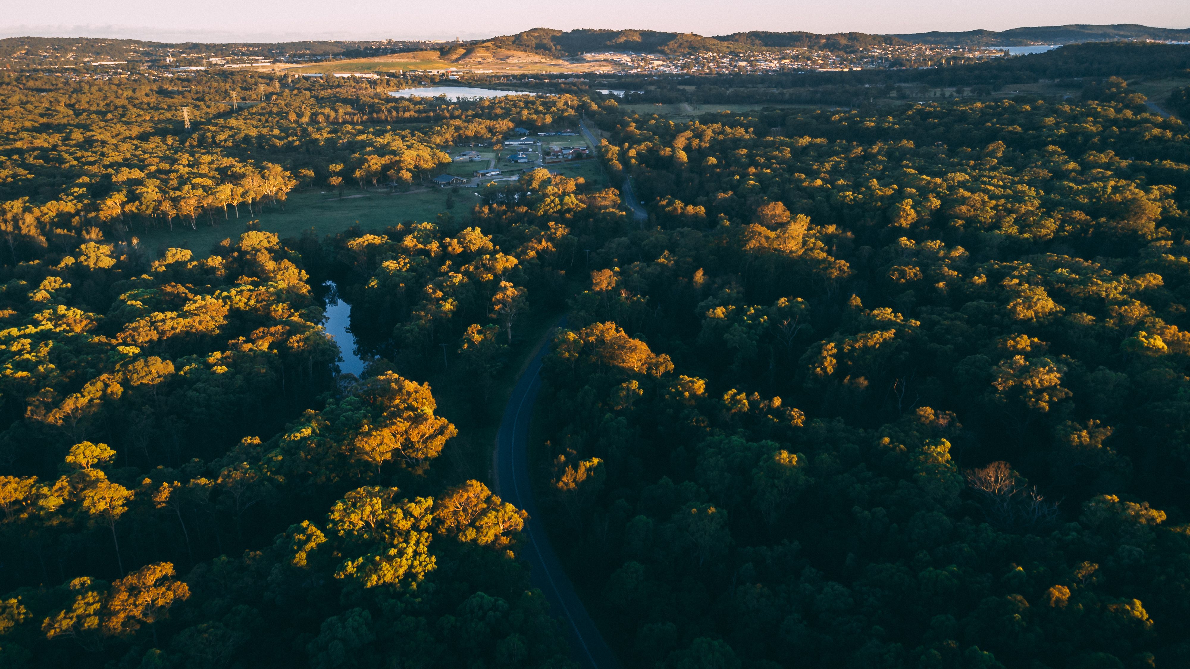 A breathtaking aerial view of a dense forest with a winding road at sunset, capturing nature's serenity.