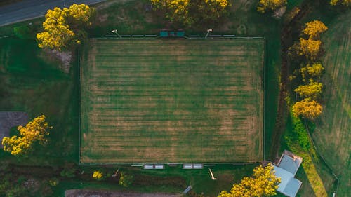 Aerial Shot of Green Grass Field