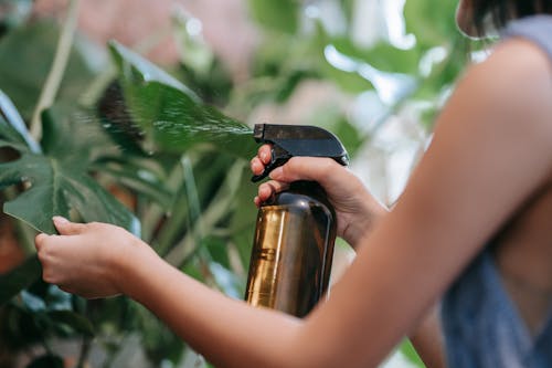 bitkiler, eller, Kadın içeren Ücretsiz stok fotoğraf