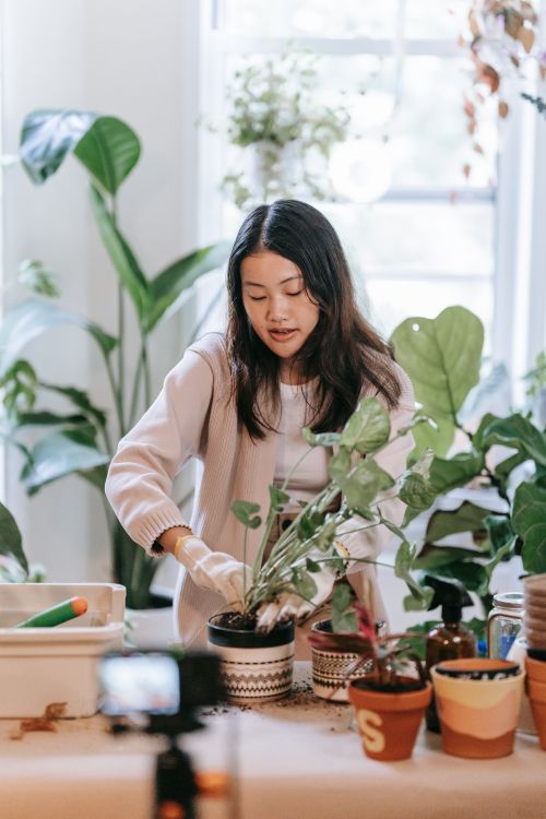 Free Asian woman tending to houseplants indoors, surrounded by pots and soil. Stock Photo